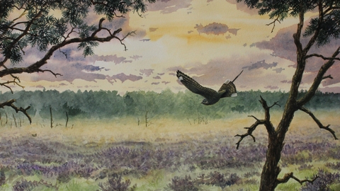 A painting of a bird swooping downwards onto scrubland between two trees