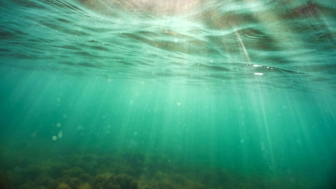 an underwater photo of green sea with sunlight breaking through
