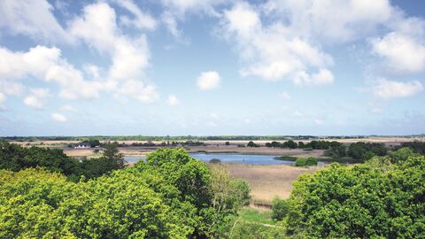 A view over Hickling. Blue skies with fluffy white clouds, lots of trees and shrubs and a pool of water in the distance.