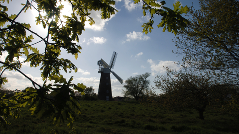 Peering through leafy branches on a sunny day, there is the silhouette of a windmill.