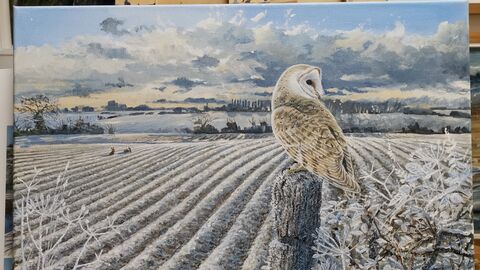 A painting of a barn owl sitting on a post in a frosty landscape