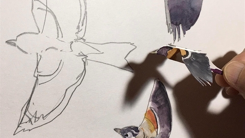 A pencil drawing of a bird with some watercolour birds