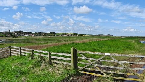The view across Cley Marshes towards Cley village, standing in front of a five-barred gate