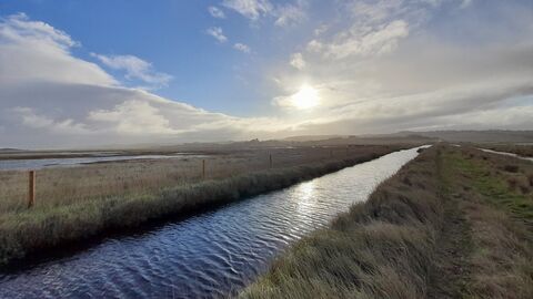 a dyke running through marshes, with a big sky
