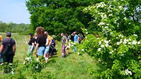 A group of people on a guided walk at Sweet Briar Marshes