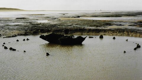 an exposed circle of timber in a seawater lagoon