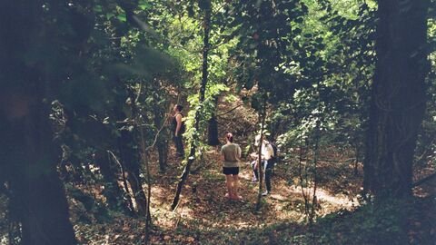 A group of young people standing in a small, sunlight wooded area