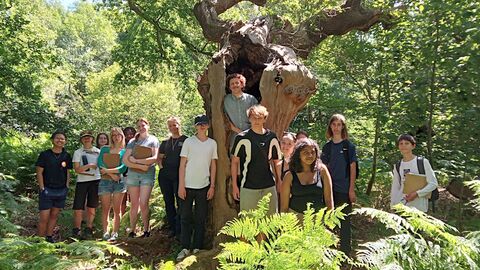 A group of young people standing in a wood under a large tree facing the camera