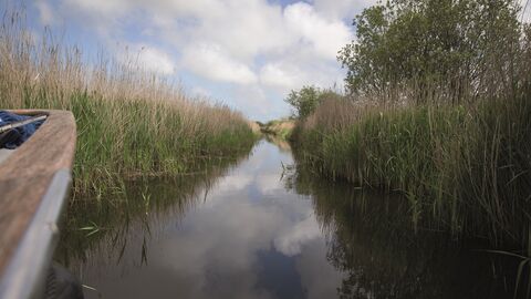 A small boat sailing through a reedbed with fluffy grey clouds and blue skies overhead.
