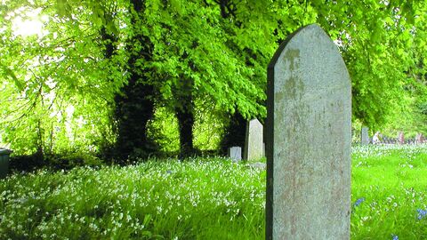 A gravestone in a churchyard with wildflowers in the grass and leafy trees overhanging the cemetery