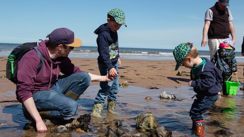 A man with two young boys standing in a rockpool on a beach and looking in the water