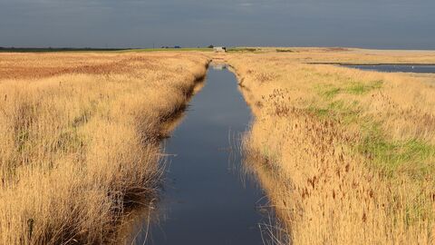 a view over cley marshes