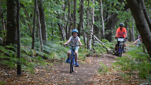 Cyclists in a woodland at Broadland Country Park. 