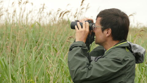 Patrick Barkham is wearing a green anorak and looking through binoculars into a reedbed