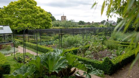 vegetable beds within a walled garden