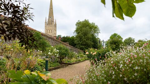 A shingle path leading through a garden with flowers and shrubs on either side and the spire of Norwich cathedral in the distance