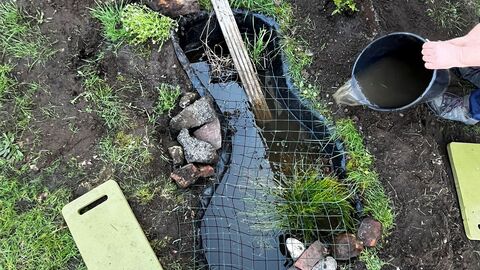 A small pond covered by netting with a person hands pouring water into the pond from a bucket