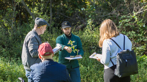 A group of people standing in a woodland with clipboards studying foliage