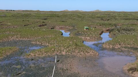 A view across Norfolk saltmarshes