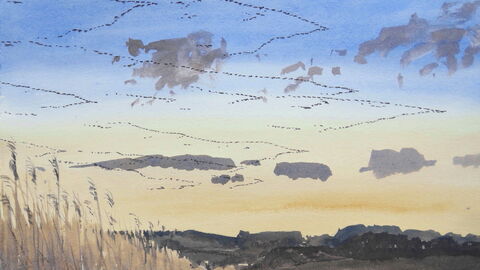 Watercolour featuring many skeins of pink-footed geese flying across the evening sky at Cley