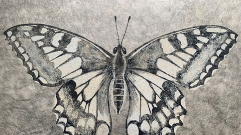 A black and white sketched print of a swallowtail butterfly