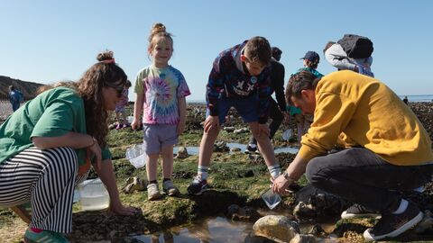 A family looking into a rockpool