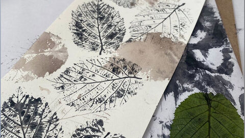 several leaf prints on a long white piece of paper