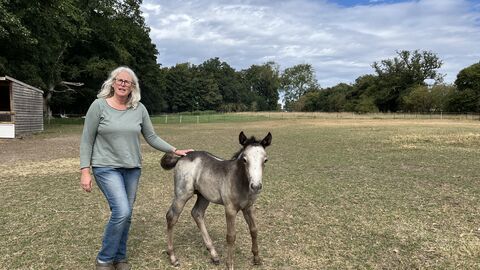 Harriet Mead in a field alongside a small light brown pony which has a white face