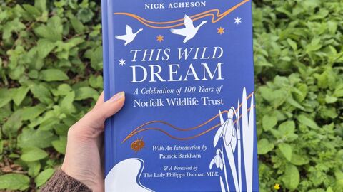 A cobalt blue book with white and copper wildlife illustrations is held against a background of green plants