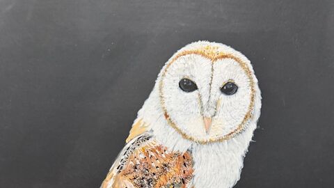 A textured artwork of a barn owl