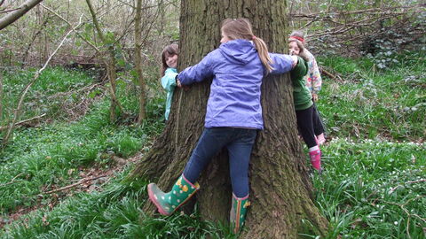 A group of children wearing anoraks and wellies holding hands around the trunk of a large tree