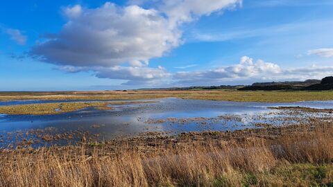 View of Cley marshes on a sunny day
