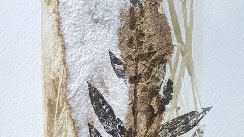 a print of a leaf 