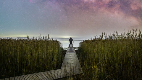 A photo at night of a man at the end of a wooden boardwalk amongst reeds and facing the sea.