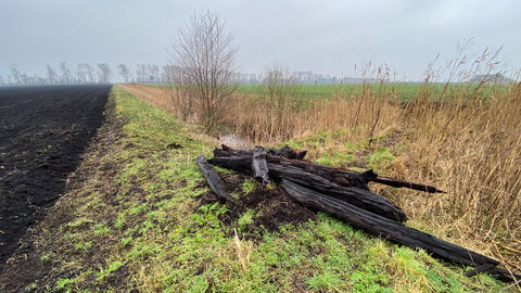 Peat lying among marshland