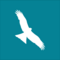 A white silhouette of a bird of prey against a teal background