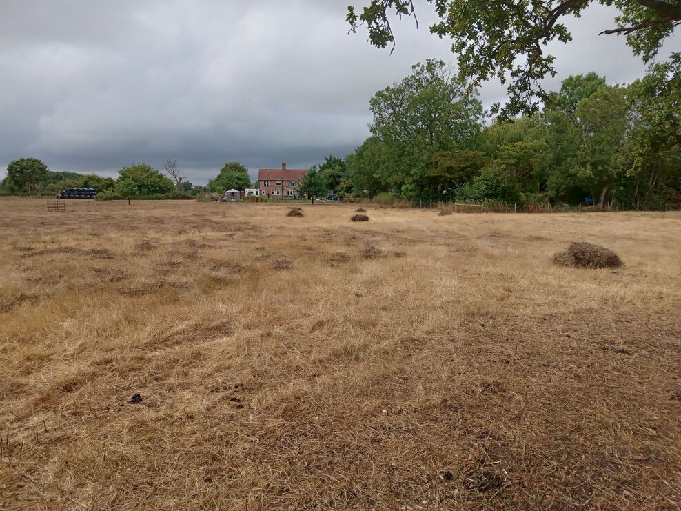 We've helped Bedingham Hall Farm secure a top farm conservation award ...