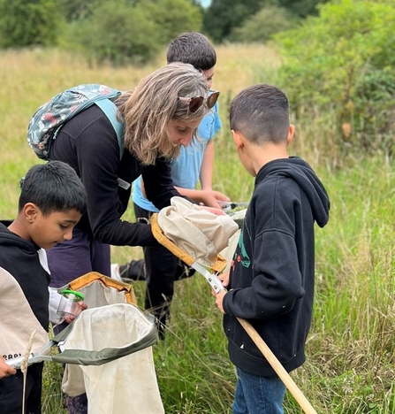 An NWT team member leans over a net while a boy holds it and looks into it, while another boy stands in front of them looking into another net, as they look for bugs at a nature reserve.