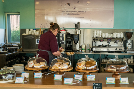 Member of staff working in a cafe, with stands of cakes in the foreground