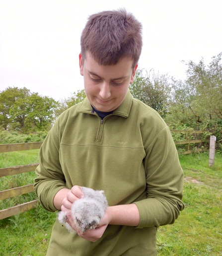 A young man in a green fleece holds a baby tawny owl