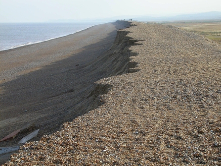 The stony shingle bank on Cley beach. There are tiny specks of people walking along the beach in the background.