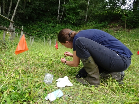 A woman is knelt down on some grass collecting seeds in a small plastic tube