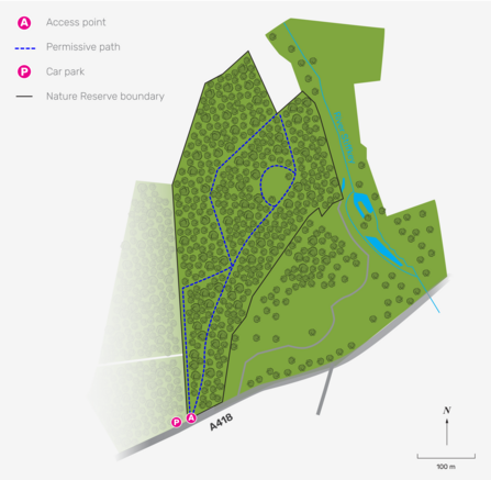 An illustrated map of Brett's wood