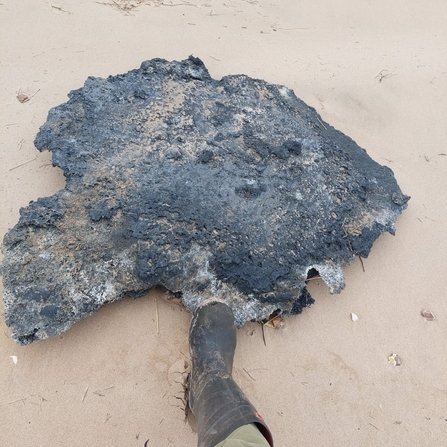 A large black clump of material washed up on the beach at Holme