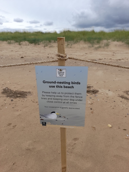 Beaching nesting bird signage at Holme