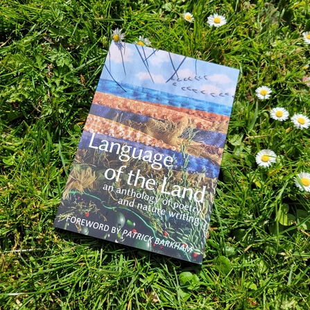 A book called Language of the Land sits on a patch of grass and daisies