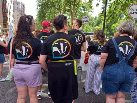 A crowd of people with their backs to us, wearing t-shirts with the Wildlife Trust badger logos surrounded by rainbow colours