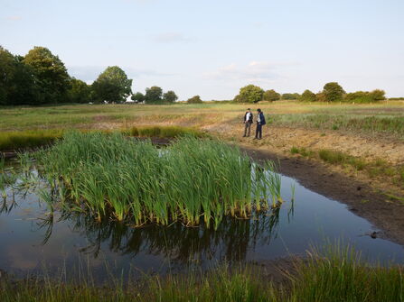 Two men stood beside a large pond with tall grasses growing in the centre. 