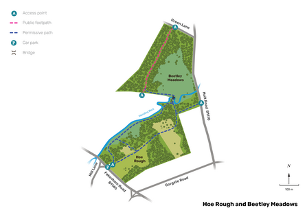Illustrated map of Hoe Rough and Beetley Meadows.
