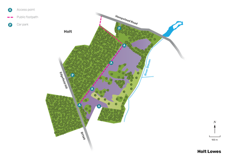 Illustrated map of Holt Lowes.